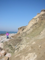 Mols 013
