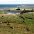 Fynshoved 2005-03