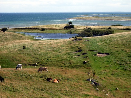 Fynshoved 2005-03