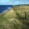 Fynshoved 2005-07