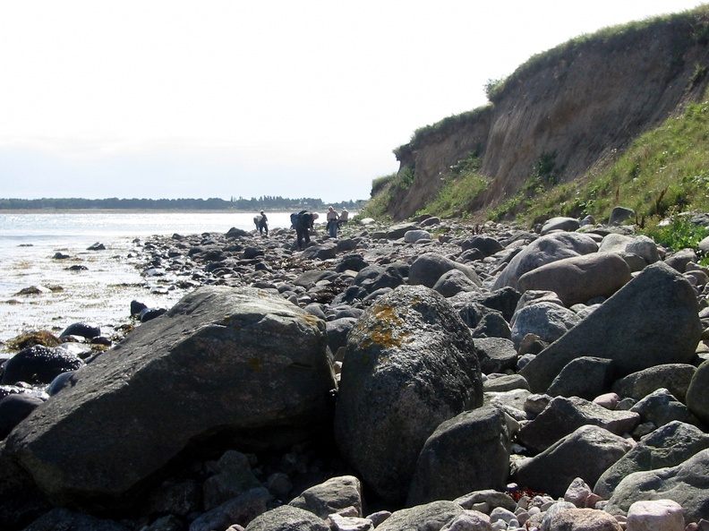 Fynshoved_2005-08.jpg