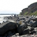 Fynshoved 2005-08