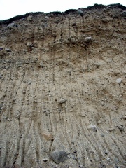 Fynshoved 2005-13