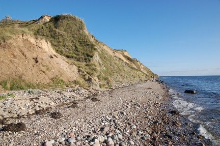 DSC 1664