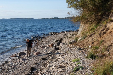 DSC 1666