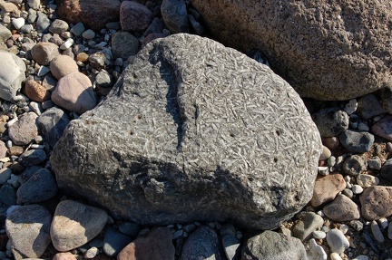 DSC 1672