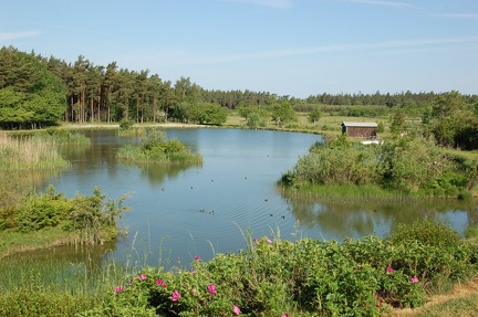 VS-Gotland-006