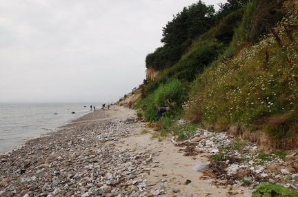 DSC 4252
