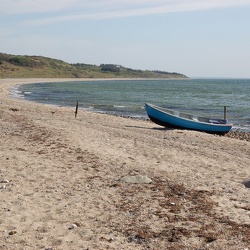 2009-04-25 Kaas-Hoved