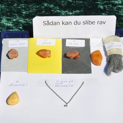 2010-07 Aktivitetsdag