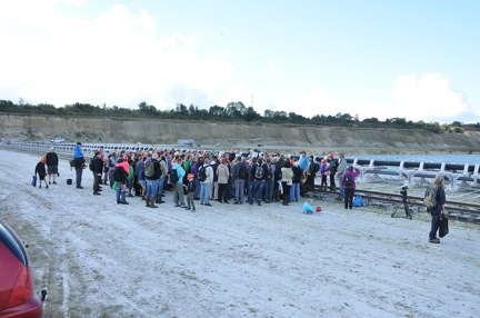 ROERDAL TOM 12