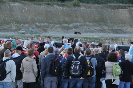ROERDAL TOM 13