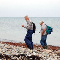 2008-05 Langeland